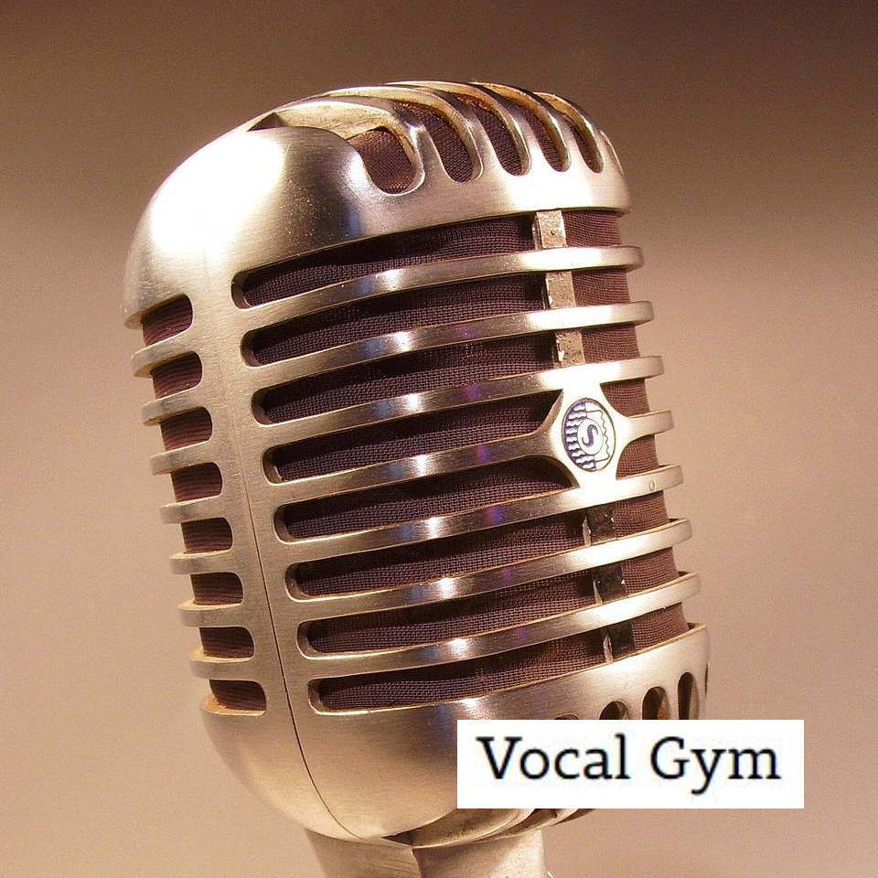 Vocal Gym | 803 Waterworks Rd, The Gap QLD 4061, Australia | Phone: 0408 980 247