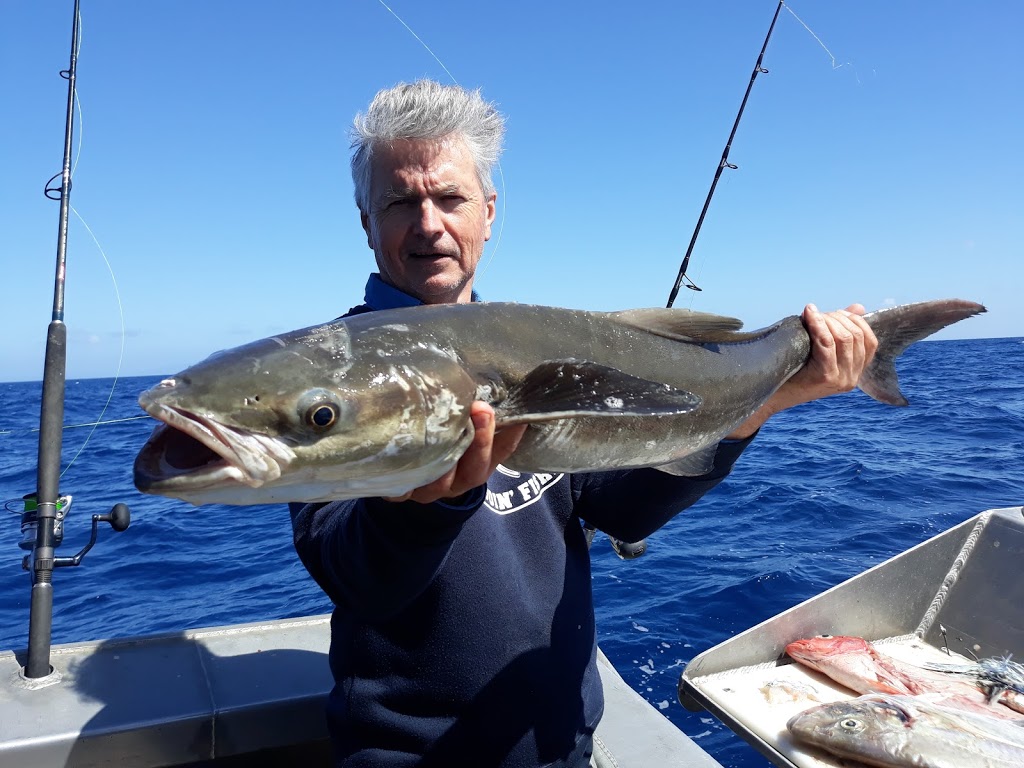 Hooked Up Fishing Adventures | 74 Porter Promenade, Mission Beach QLD 4852, Australia | Phone: 0419 756 572