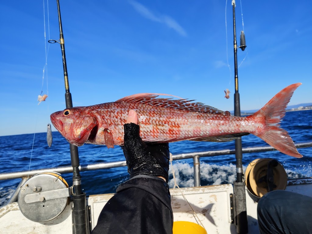 Krista Fishing Charters | Endeavour Drive, Wollongong Harbour, Wollongong NSW 2500, Australia | Phone: 0410 637 089