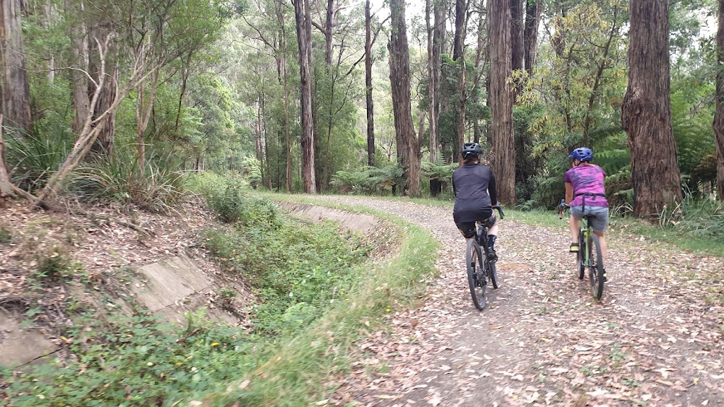 Girt By Dirt monthly social bike rides | tourist attraction | Unit 3/2465 Warburton Hwy, Yarra Junction VIC 3797, Australia | 0359671395 OR +61 3 5967 1395