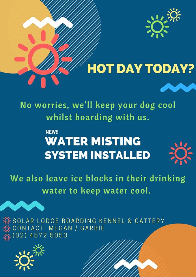 Solar Lodge Boarding Kennels & Cattery | veterinary care | 10 Fifth Rd, Berkshire Park NSW 2765, Australia | 0245725053 OR +61 2 4572 5053