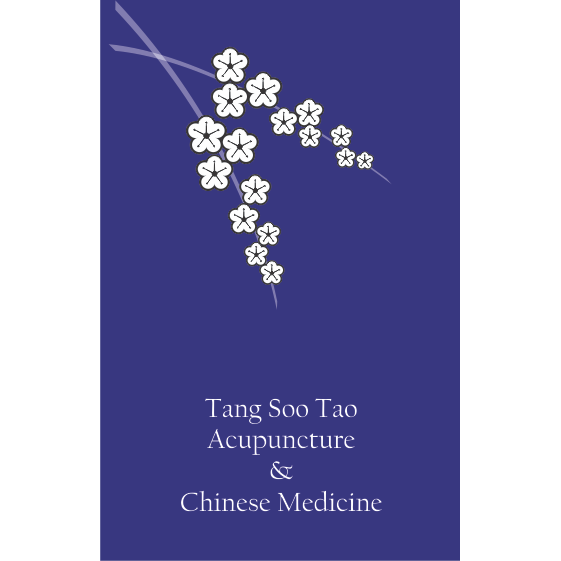 Anthony Brown Acupuncture and Chinese Medicine | 26 Coral St, Maleny QLD 4552, Australia | Phone: (07) 5435 2555