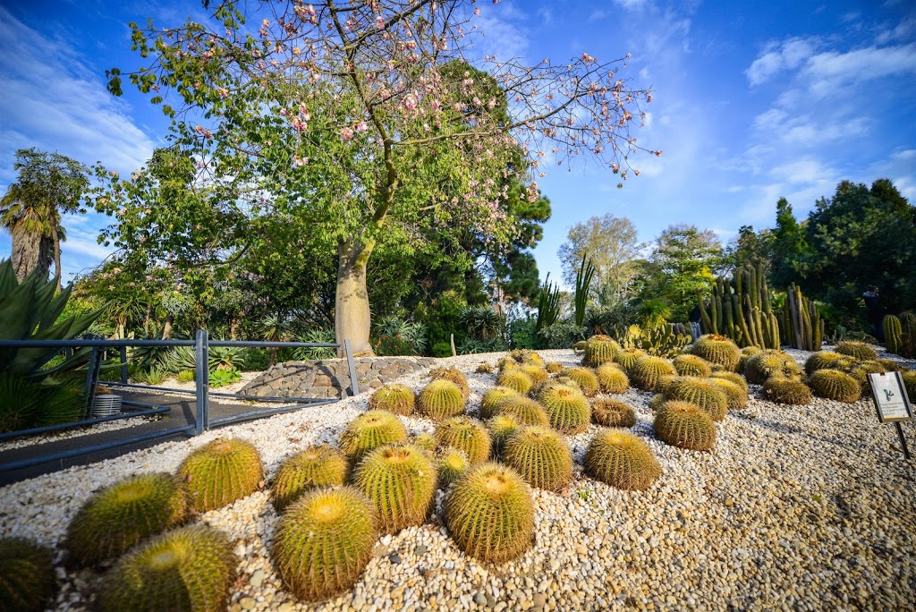 Geelong Botanic Gardens (GBG) | park | Corner of Eastern Park Circuit &, Podbury Dr, East Geelong VIC 3219, Australia | 0352724379 OR +61 3 5272 4379