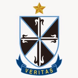 St Anthonys School | school | 1 Castle St, Edwardstown SA 5039, Australia | 0881157500 OR +61 8 8115 7500