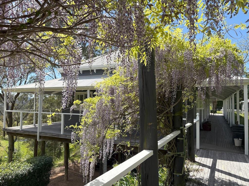 Longevity With Dee | 919 Grose Vale Rd, Grose Vale NSW 2753, Australia | Phone: 0448 580 262