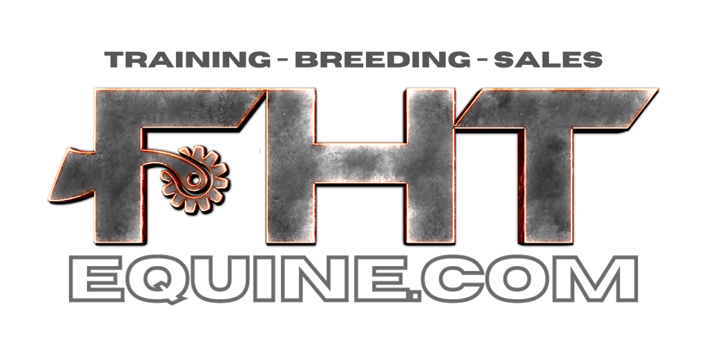 FHT Equine | 26 McNairn Rd, Crows Nest QLD 4355, Australia | Phone: 0402 581 423
