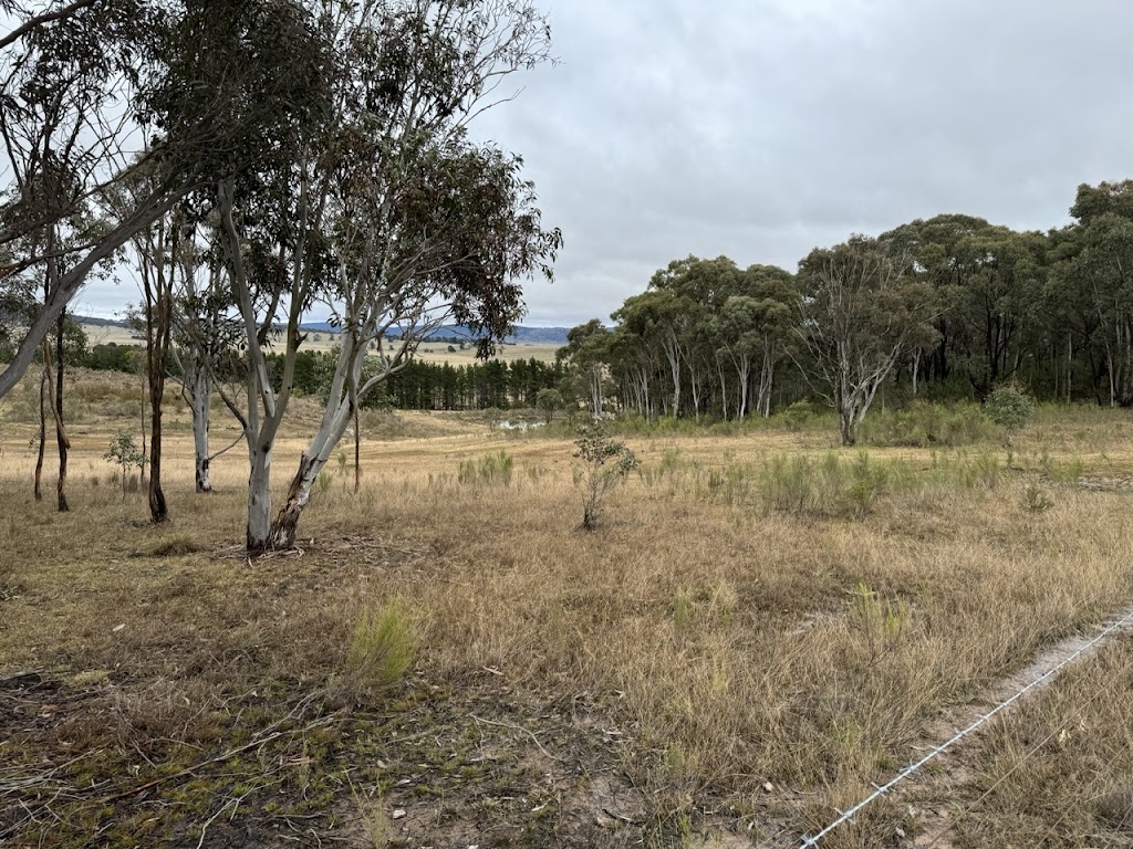 Irwin Environmental Management | 85 Pippin Way, Orange NSW 2800, Australia | Phone: 0412 107 657