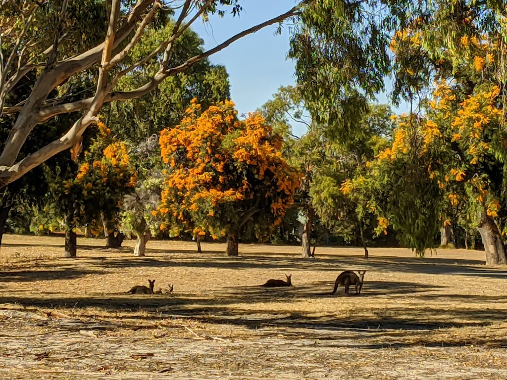 Dunsborough and Districts Country Club | 40 Gifford Rd, Dunsborough WA 6281, Australia | Phone: (08) 9755 3250