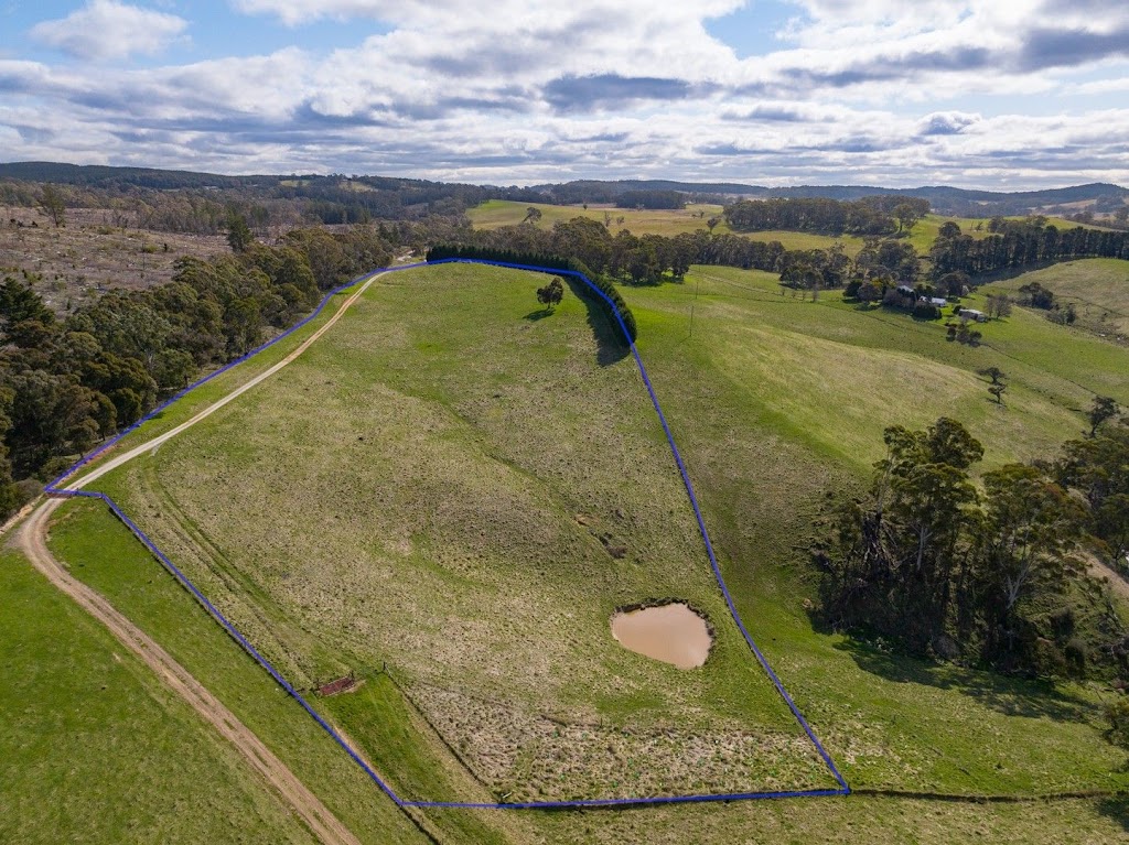 Blue Moose Farm | 133 Goughs Rd, Hazelgrove NSW 2787, Australia | Phone: 0411 326 060
