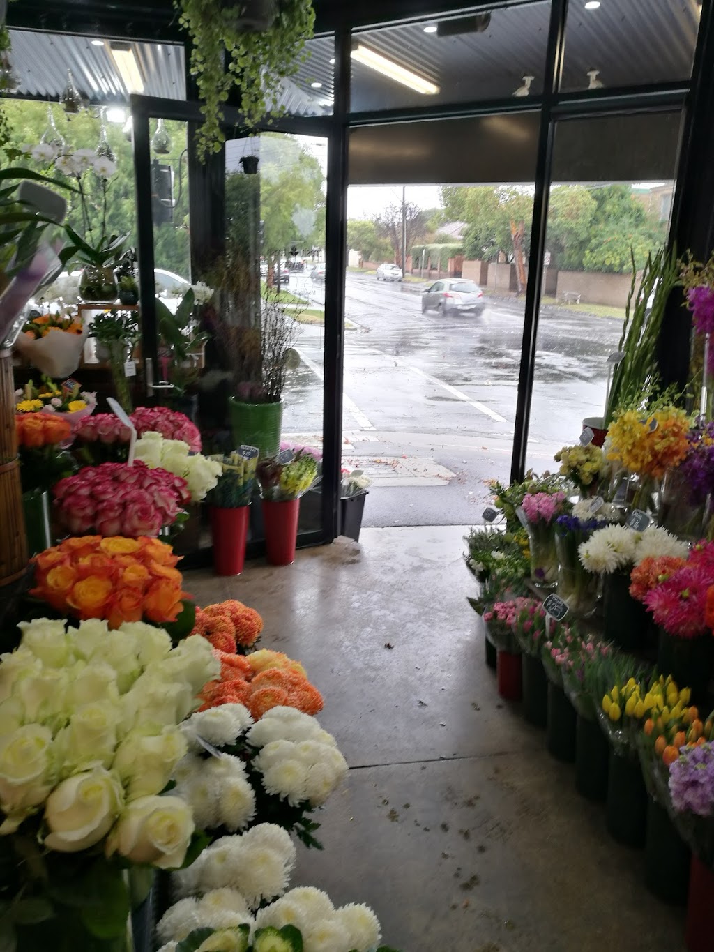 Fresh Fresh Flowers | florist | 165 Centre Rd, Bentleigh VIC 3204, Australia | 0395579305 OR +61 3 9557 9305