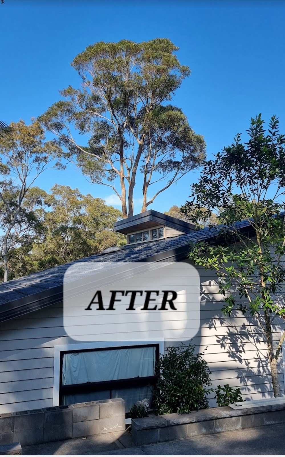 EziClip Tree Service | 14 Fernleigh Pl, New Lambton Heights NSW 2305, Australia | Phone: 0472 977 737