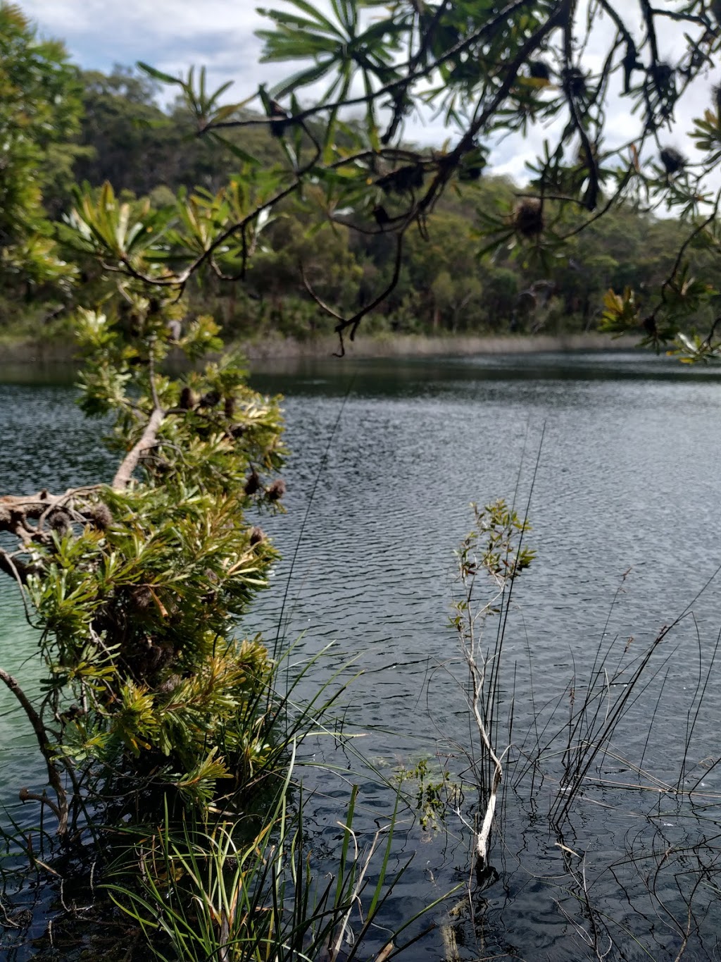 Blue Lake National Park | North Stradbroke Island QLD 4183, Australia | Phone: 13 74 68