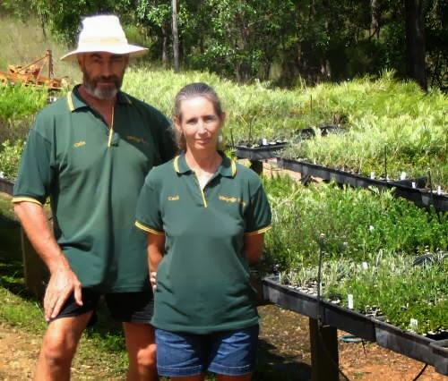 Windyridge Nursery | Amamoor Creek Rd, Amamoor QLD 4570, Australia | Phone: 0438 722 981