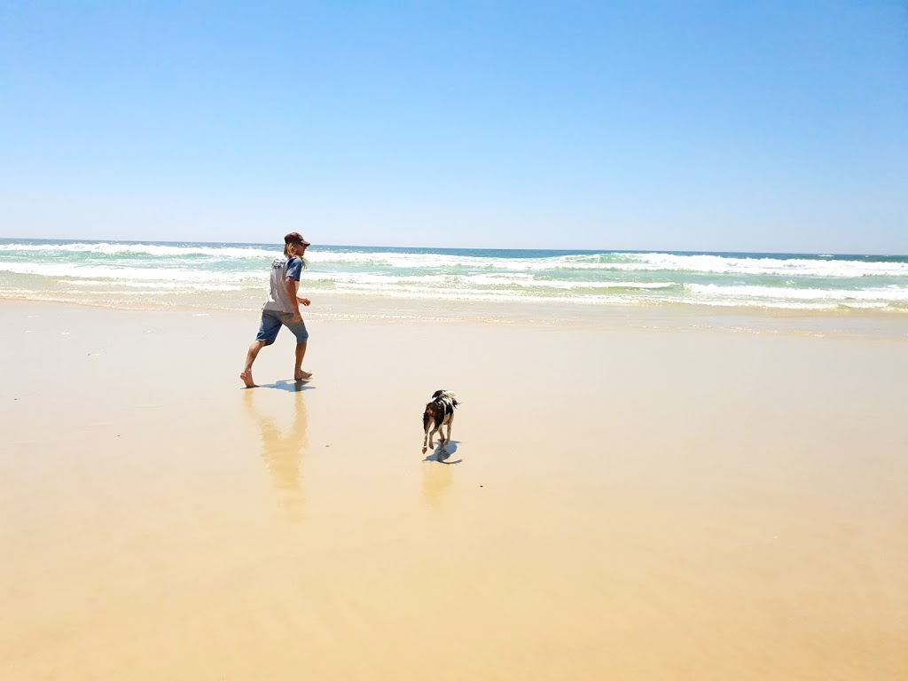 Pottsville Dog Beach | park | Tweed Coast Rd, Pottsville NSW 2489, Australia