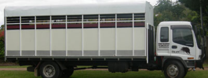 TRANSEQ Horse Transport | 72 Lahey Rd, Tamborine Mountain QLD 4272, Australia | Phone: (07) 5545 2414