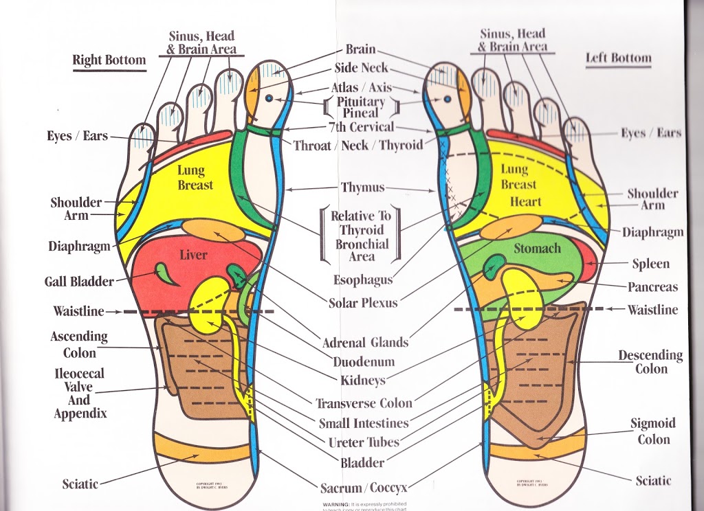 Relax With Reflex | health | 55 Gulfview Rd, Christies Beach SA 5165, Australia | 0421648790 OR +61 421 648 790