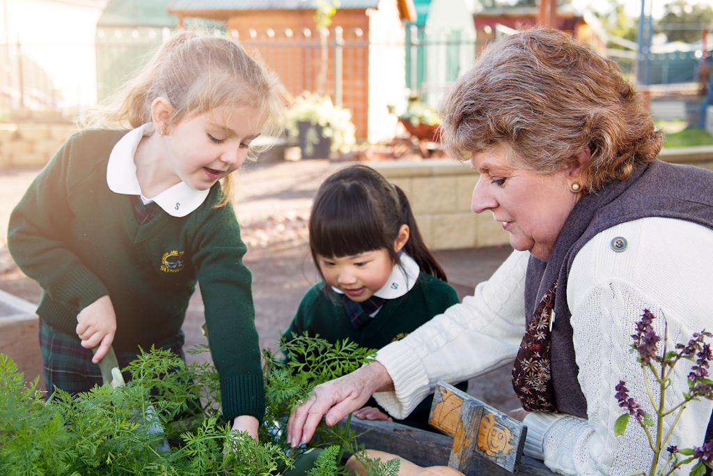 Sunrise Christian School, Whyalla | school | 2 Sunrise Lane, Whyalla Norrie SA 5608, Australia | 0884656006 OR +61 8 8465 6006