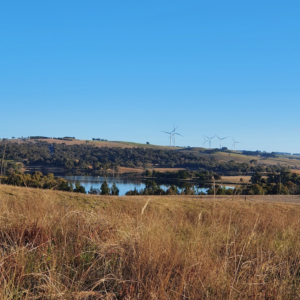 Two Little Piggies | campground | 289 St Stephens Rd, Wayo NSW 2580, Australia | 0407810018 OR +61 407 810 018