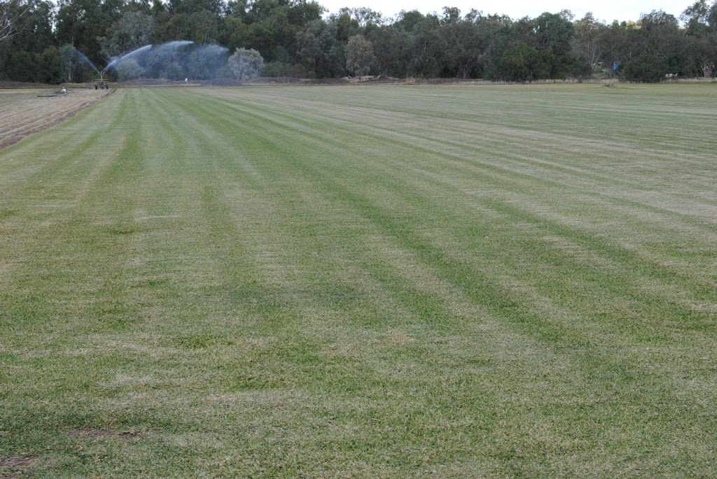 Back2 Front Turf | Bendygleet Rd, Moree NSW 2400, Australia | Phone: 0427 626 908