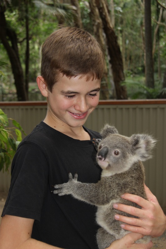 Koala Adventure Tours | 7 Kingscote Terrace, Kingscote SA 5223, Australia | Phone: 0457 711 792