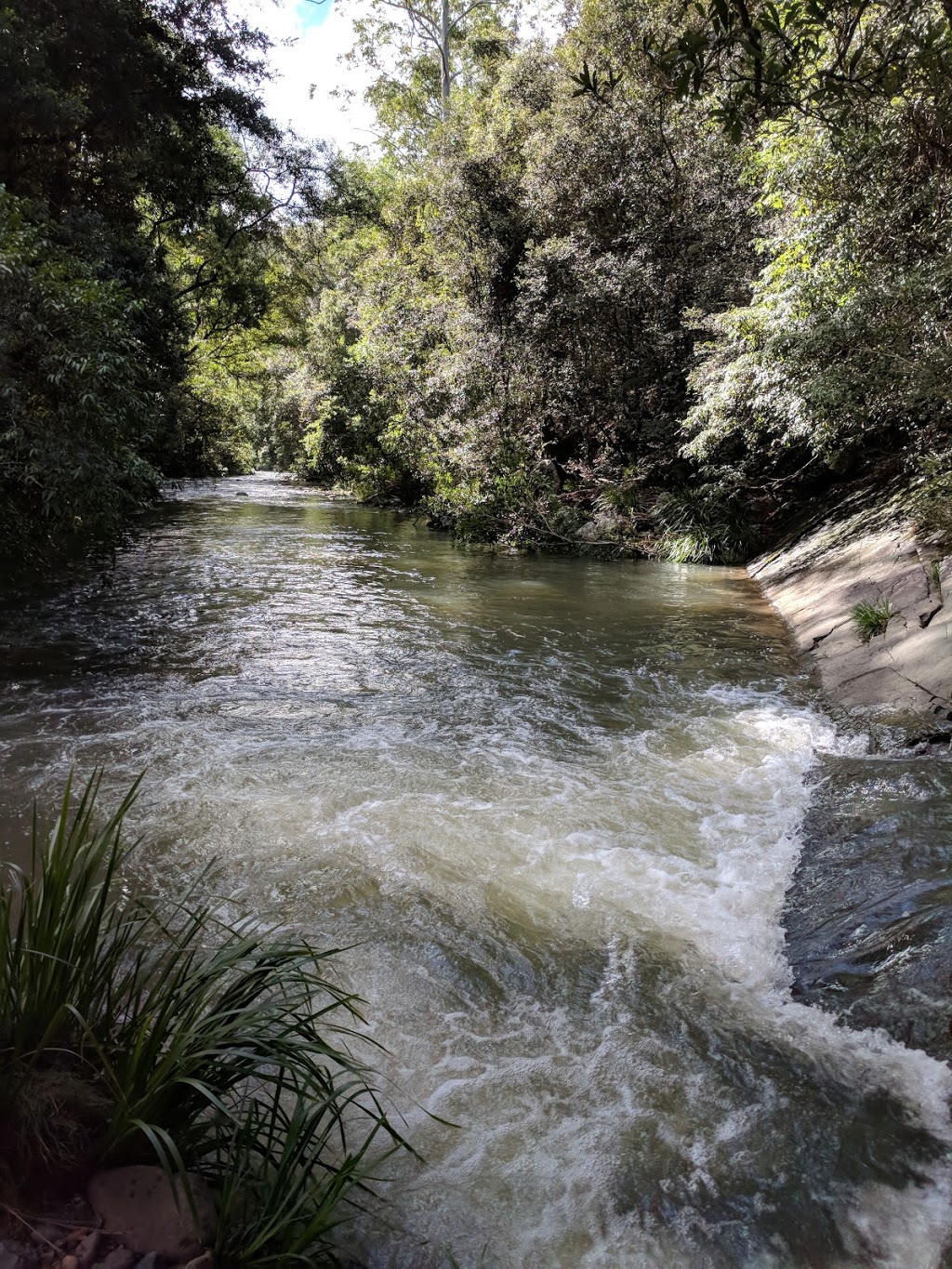 Frying Pan Campground | Frying Pan Rd, Upper Karuah River NSW 2415, Australia