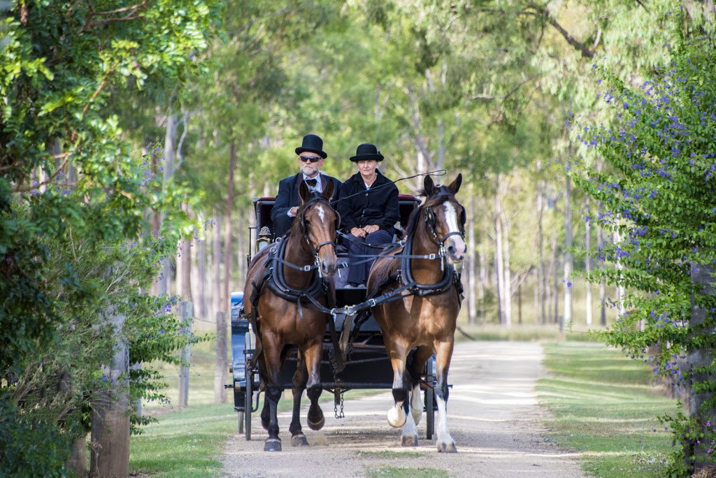 Sunshine Carriages - 30 Heilbronn Rd, Jones Hill QLD 4570, Australia