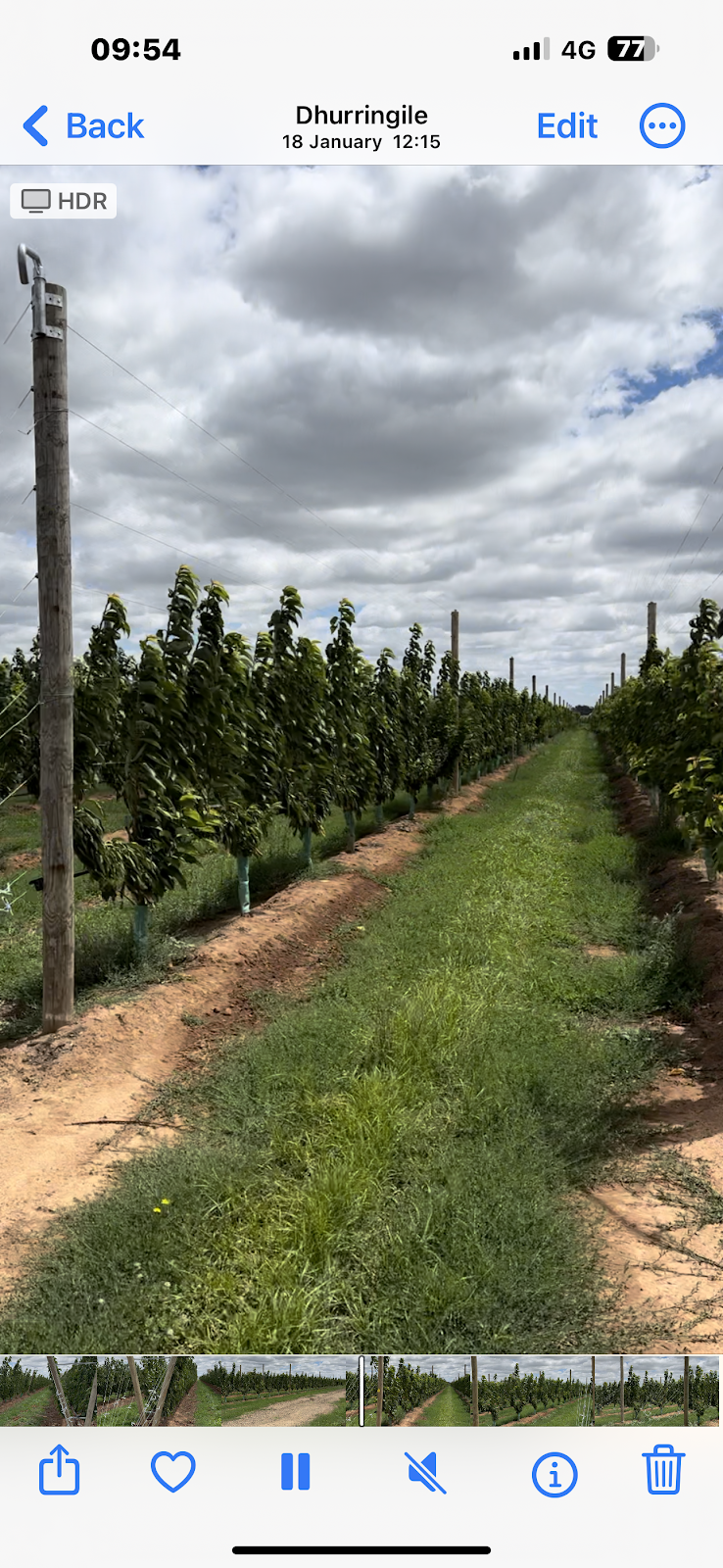 Eren’s Fresh Produce | 990 Craven Rd, Toolamba West VIC 3614, Australia | Phone: 0408 066 321 Eren’s Fresh Produce | 990 Craven Rd, Toolamba West VIC 3614, Australia | Phone: 0408 066 321