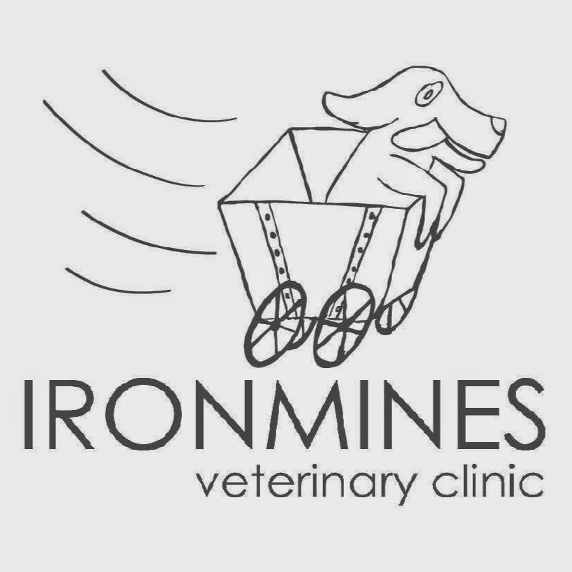 Ironmines Veterinary Clinic | veterinary care | 234 Old Hume Hwy, Mittagong NSW 2575, Australia | 0248713833 OR +61 2 4871 3833