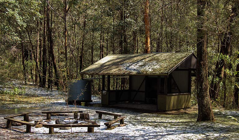Heartbreak Hill campground | campground | Womerah Range Trail, Webbs Creek NSW 2775, Australia | 0265745555 OR +61 2 6574 5555