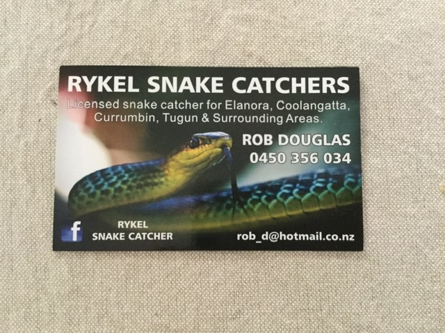 Rykel Snake Catchers | Inland Dr, Tugun QLD 4224, Australia | Phone: 0450 356 034