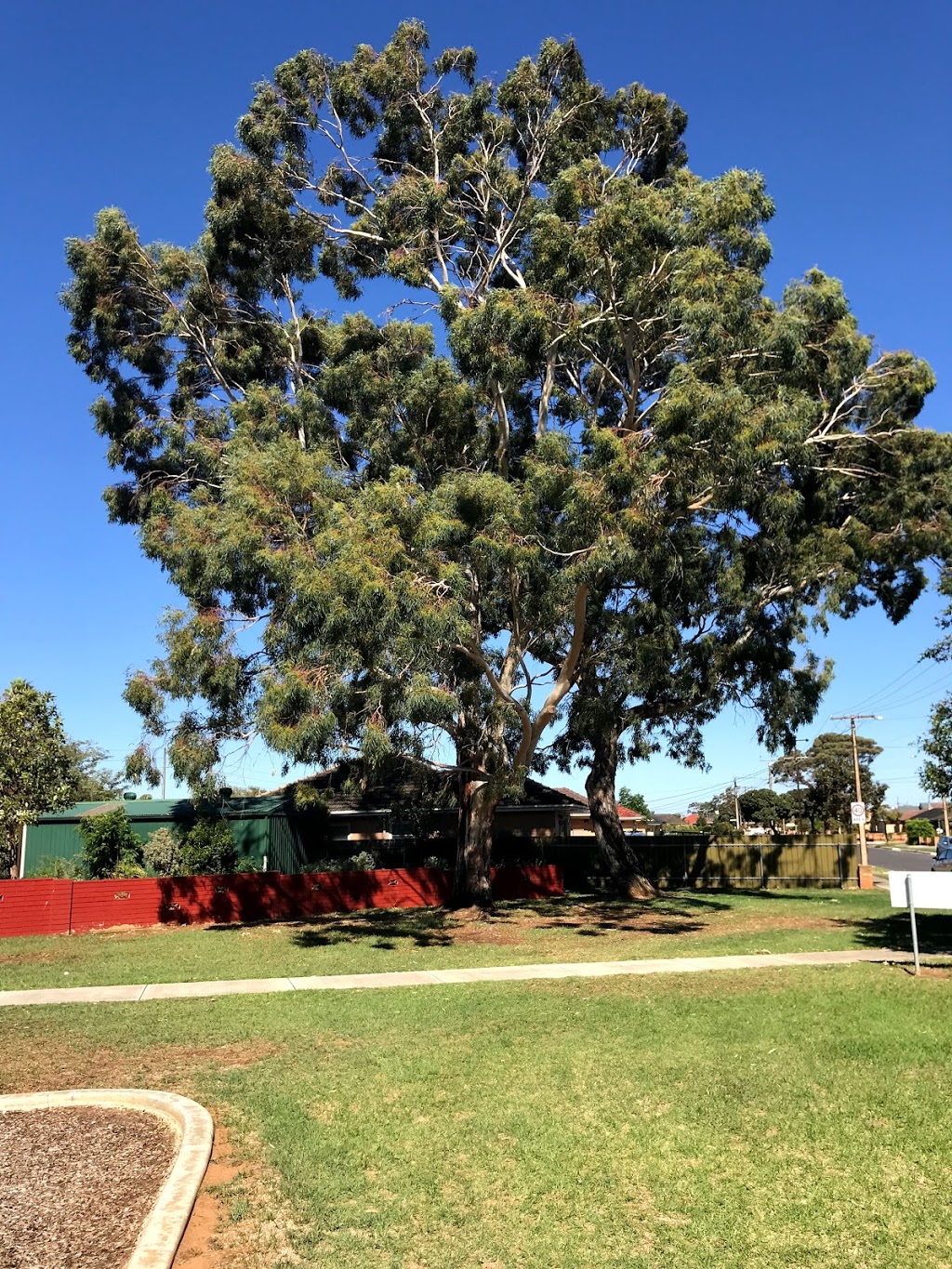 David Reserve | Findon Rd, Findon SA 5023, Australia