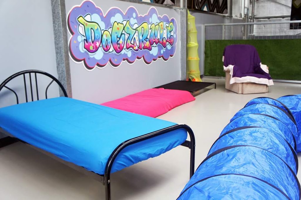 K9 Day Care Victor Harbor | 4 Trade Ct, Hindmarsh Valley SA 5211, Australia | Phone: (08) 8552 3251