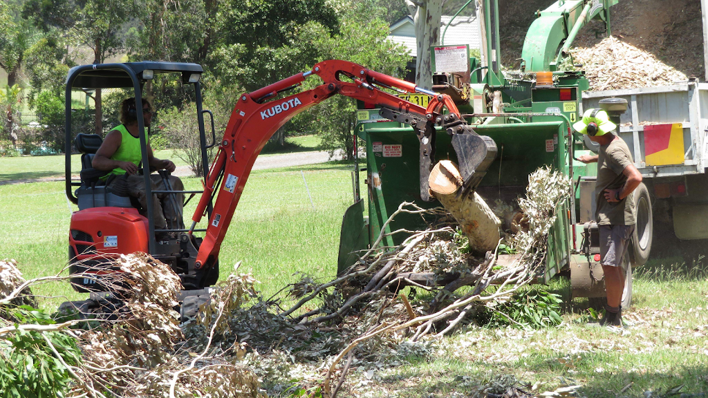 Clear view tree service | 34 Glacier Ln, Nabiac NSW 2312, Australia | Phone: 0499 373 615