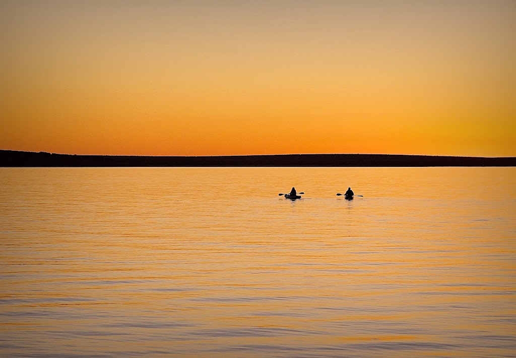 Paddling Monkey Mia Kayak Safaris and SUP Hire | 1 Monkey Mia Rd, Shark Bay WA 6537, Australia | Phone: 0428 911 283