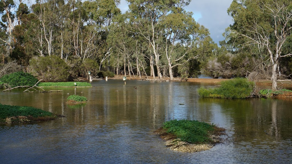 Serendip Sanctuary | 100 Windermere Rd, Lara VIC 3212, Australia | Phone: (03) 5283 8000