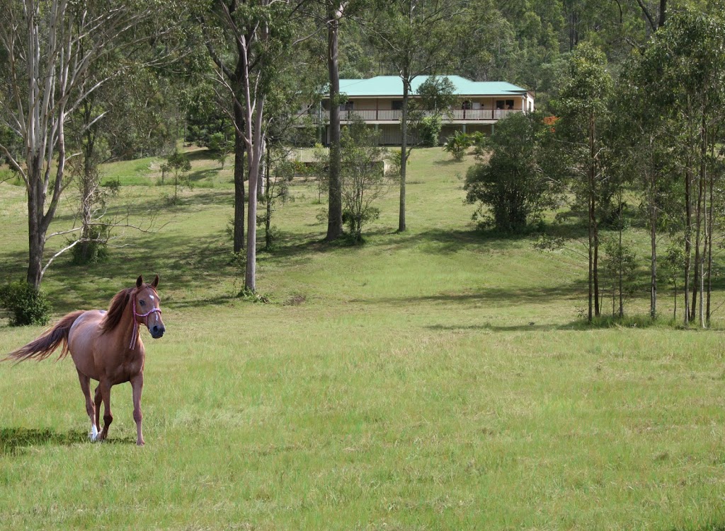 Dhammagiri Forest Hermitage | 10 Ben Varden Ave, Kholo QLD 4306, Australia | Phone: (07) 3201 2041