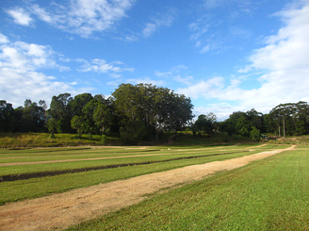 Dunloe Sands Quarry - Soil & Sand Supplier | Pottsville Rd, Pottsville NSW 2485, Australia | Phone: 0411 795 060