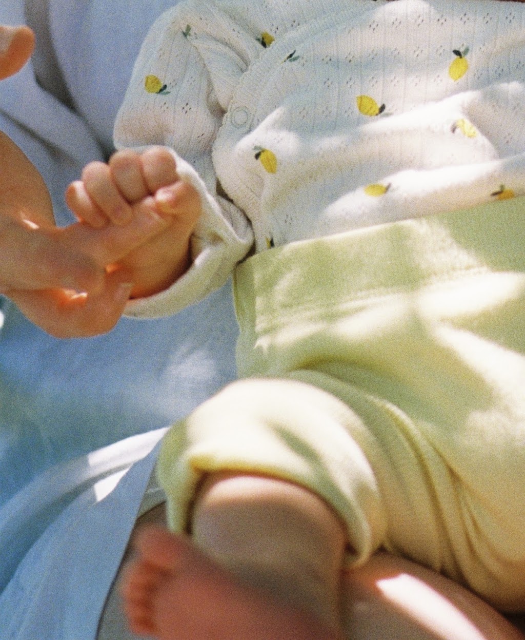 The Moments Between - 35mm film photography | 936 Allambee-Childers Rd, Childers VIC 3824, Australia | Phone: 0403 643 013