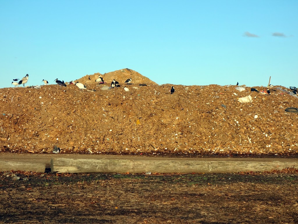 Armidale Recycling Services | 108 Long Swamp Rd, Armidale NSW 2350, Australia | Phone: (02) 6772 2033