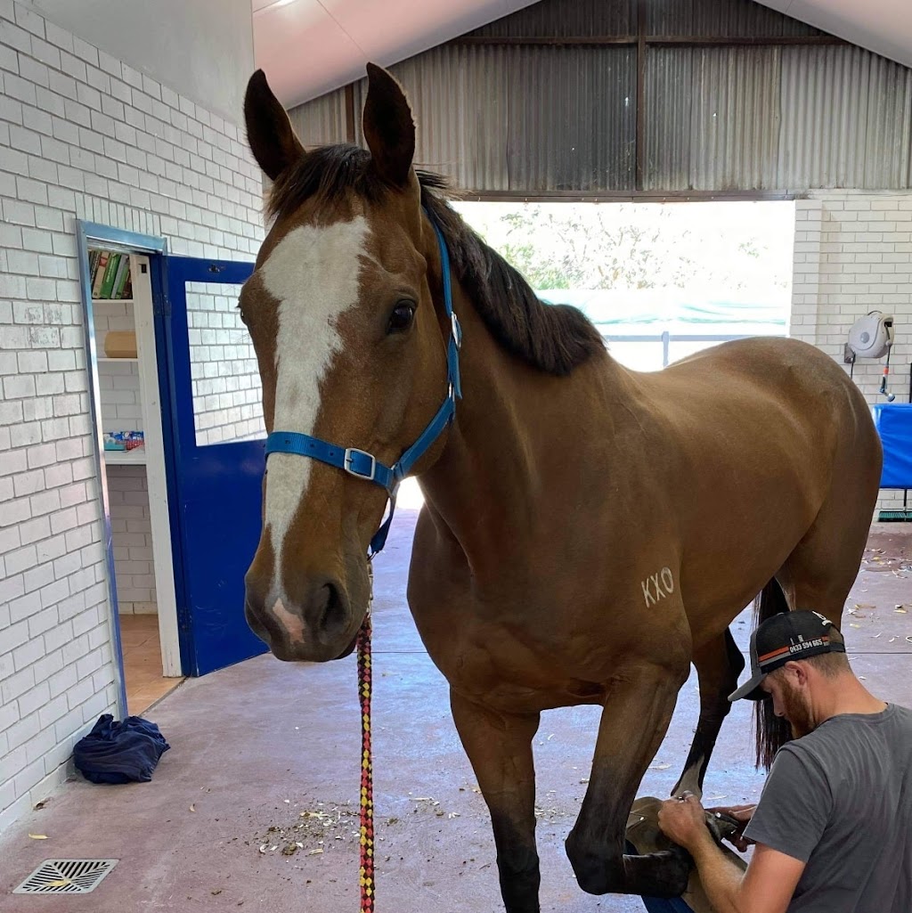 Performance Horse Vets | veterinary care | 15A Woollcott Ave, West Swan WA 6056, Australia | 0892964206 OR +61 8 9296 4206