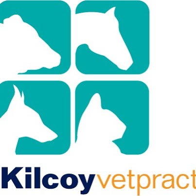 Kilcoy Vet Practice | 5047 DAguilar Hwy, Kilcoy QLD 4515, Australia | Phone: (07) 5497 1511