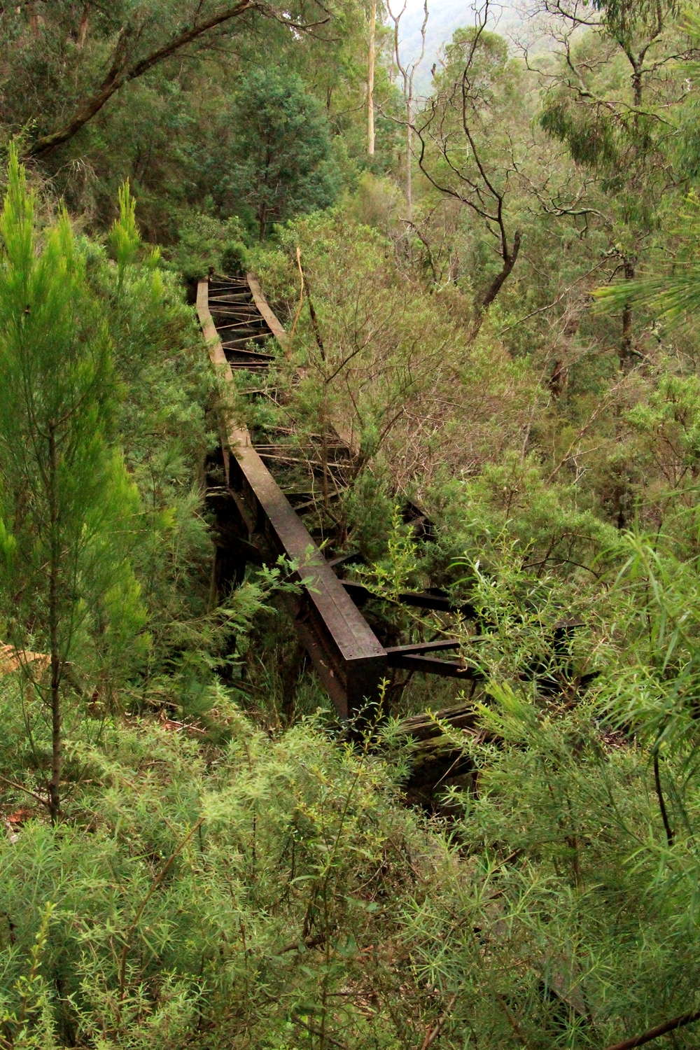 Walhalla Goldfields Rail Trail | park | Erica-Thomson Rail Trail, Rawson VIC 3825, Australia