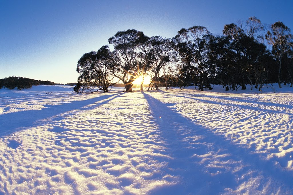 Snow Trip Australia | travel agency | 42 Macaulay St, Williamstown North VIC 3016, Australia | 0393931323 OR +61 3 9393 1323