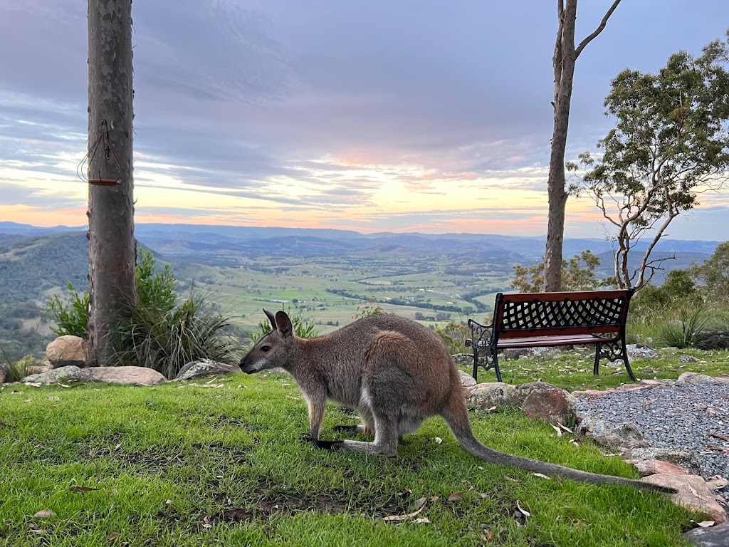 Twig + Wren Wilderness Retreat | 541 Moonabung Rd, Vacy NSW 2421, Australia | Phone: 0407 658 116