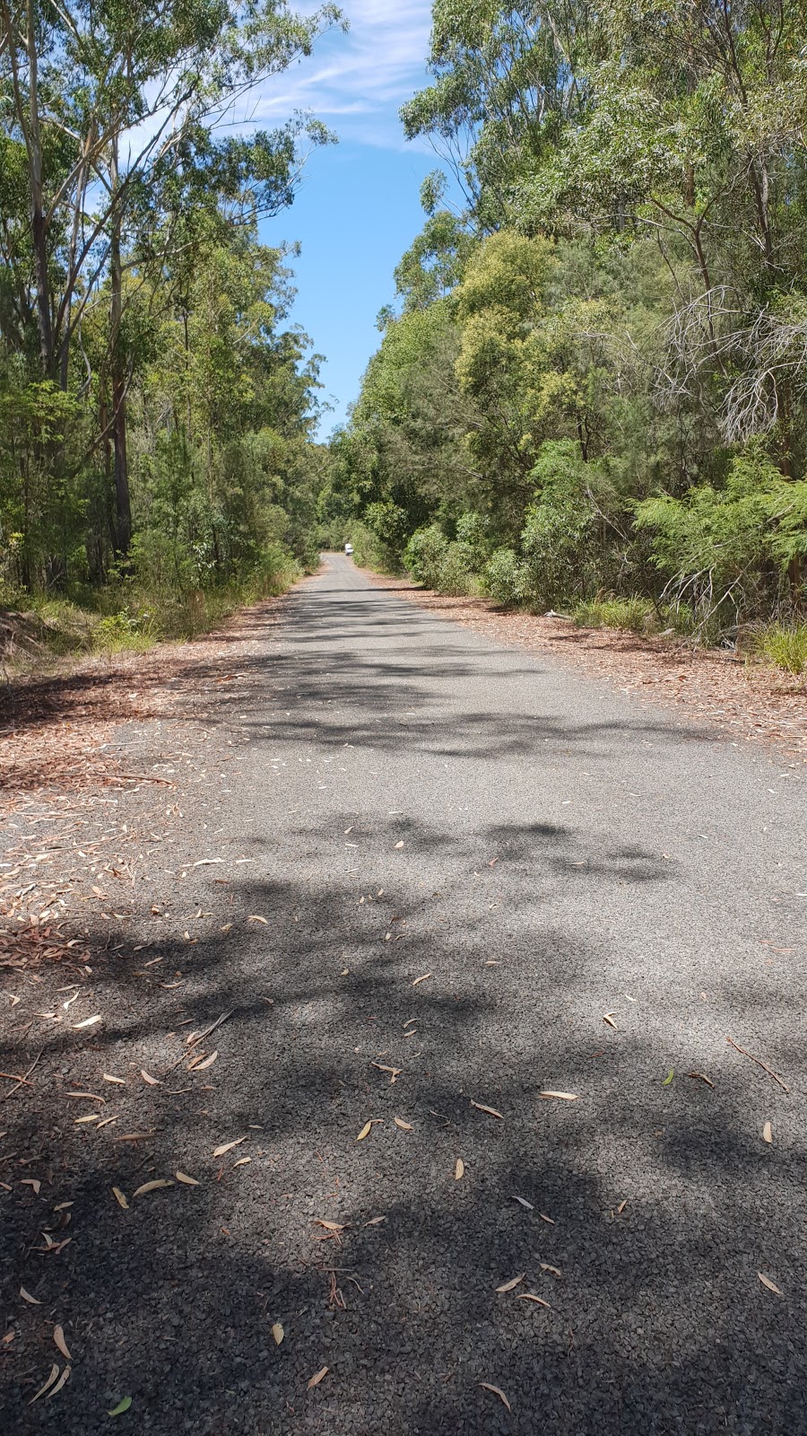 Yuraygir State Conservation Area | Halfway Creek NSW 2460, Australia