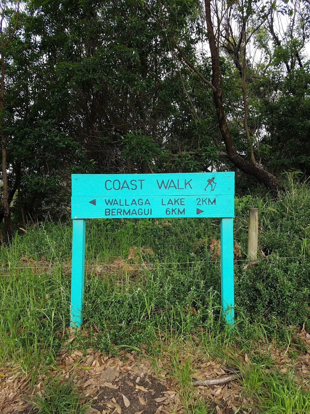 Bermagui to Wallaga Coastal Walk | park | Wallaga Lake NSW 2546, Australia