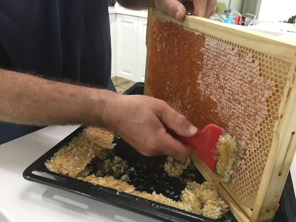 Let it Beekeeping | 4 Baroonba St, Whitebridge NSW 2290, Australia | Phone: 0425 475 440