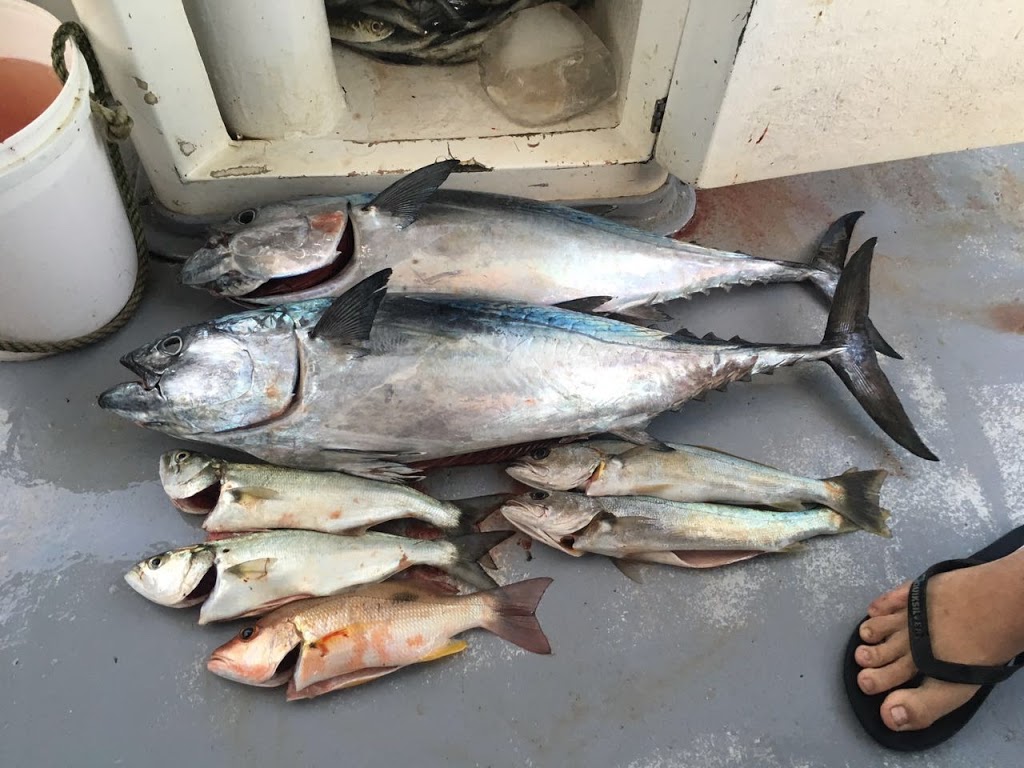 BKs Gold Coast Fishing Charters | Muriel Henchman Dr, Main Beach QLD 4217, Australia | Phone: 0414 293 034