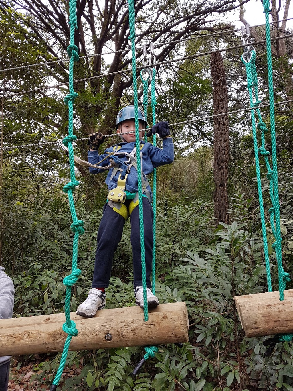 Trees Adventure - Glen Harrow Park | Old Monbulk Rd, Belgrave VIC 3160, Australia | Phone: (03) 9752 5354