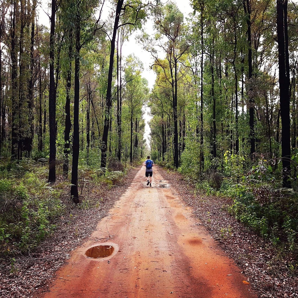 King Jarrah Track | park | Nanga Brook WA 6215, Australia